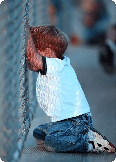 KBO 리그의 모든 것 알아보기