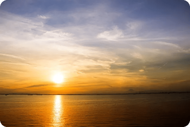 WISETOTO 픽스터들 잘 맞추나? 진짜정보 확인하자