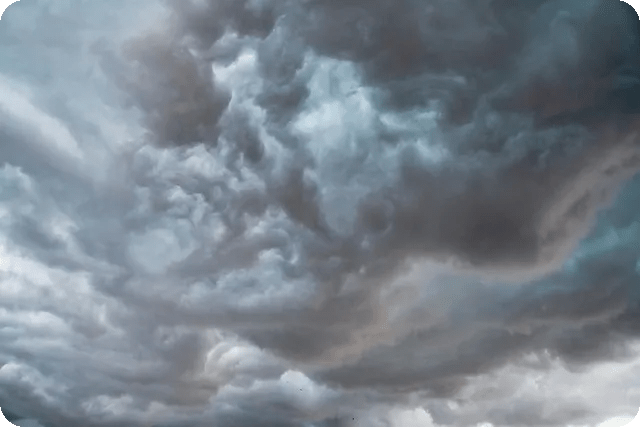 PROTO 사용 가이드: 실무에 적합한 타입은?