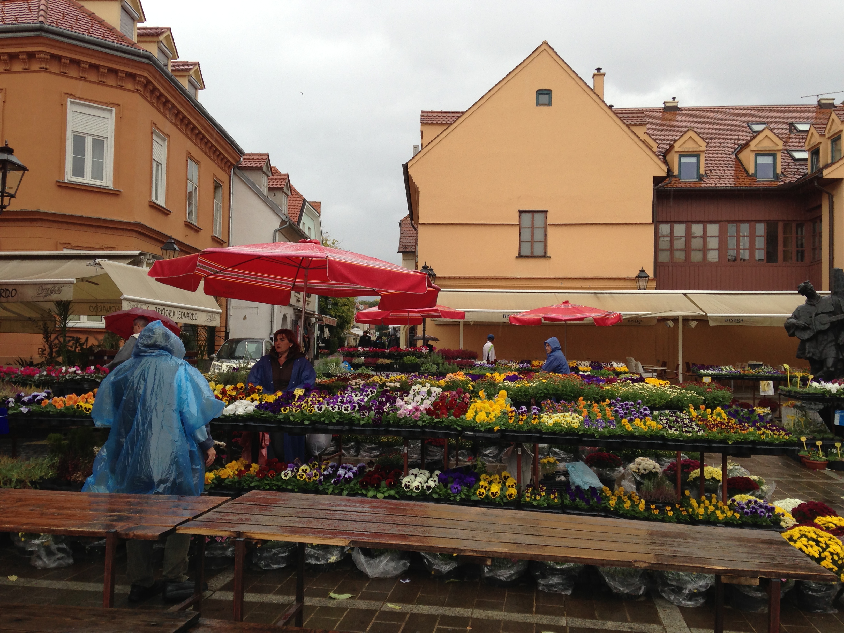 Flower Market