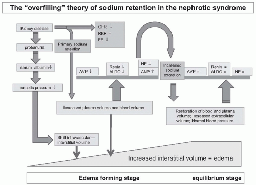 The Nephrotic Syndrome | Abdominal Key