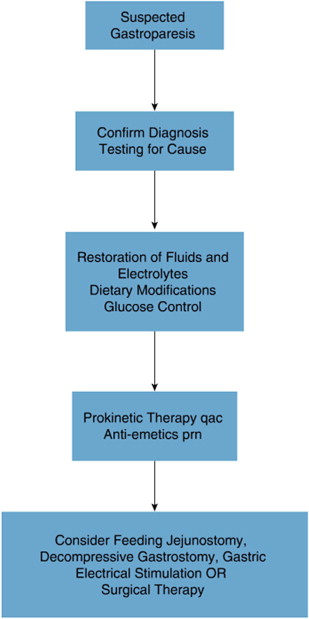 Prokinetics in Gastroparesis | Abdominal Key