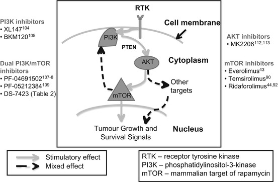 Management of Advanced Endometrial Cancer and Inhibitors of the PI3K ...