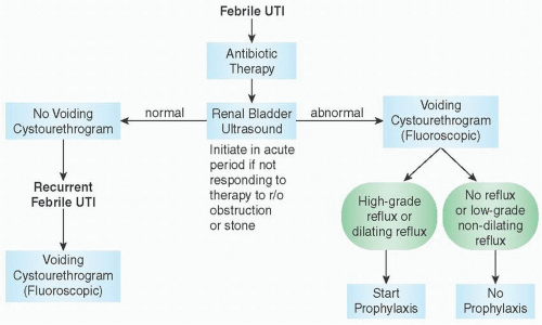 Urinary Tract Infections in Children | Abdominal Key
