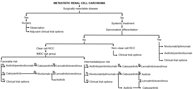 Sequencing Therapies for Metastatic Renal Cell Carcinoma | Abdominal Key