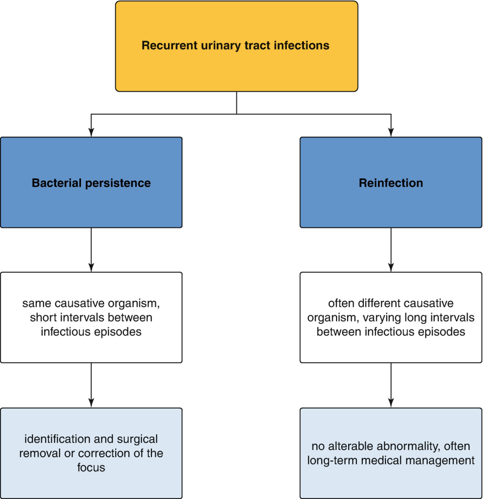 ../images/330237_1_En_7_Chapter/330237_1_En_7_Fig3_HTML.png