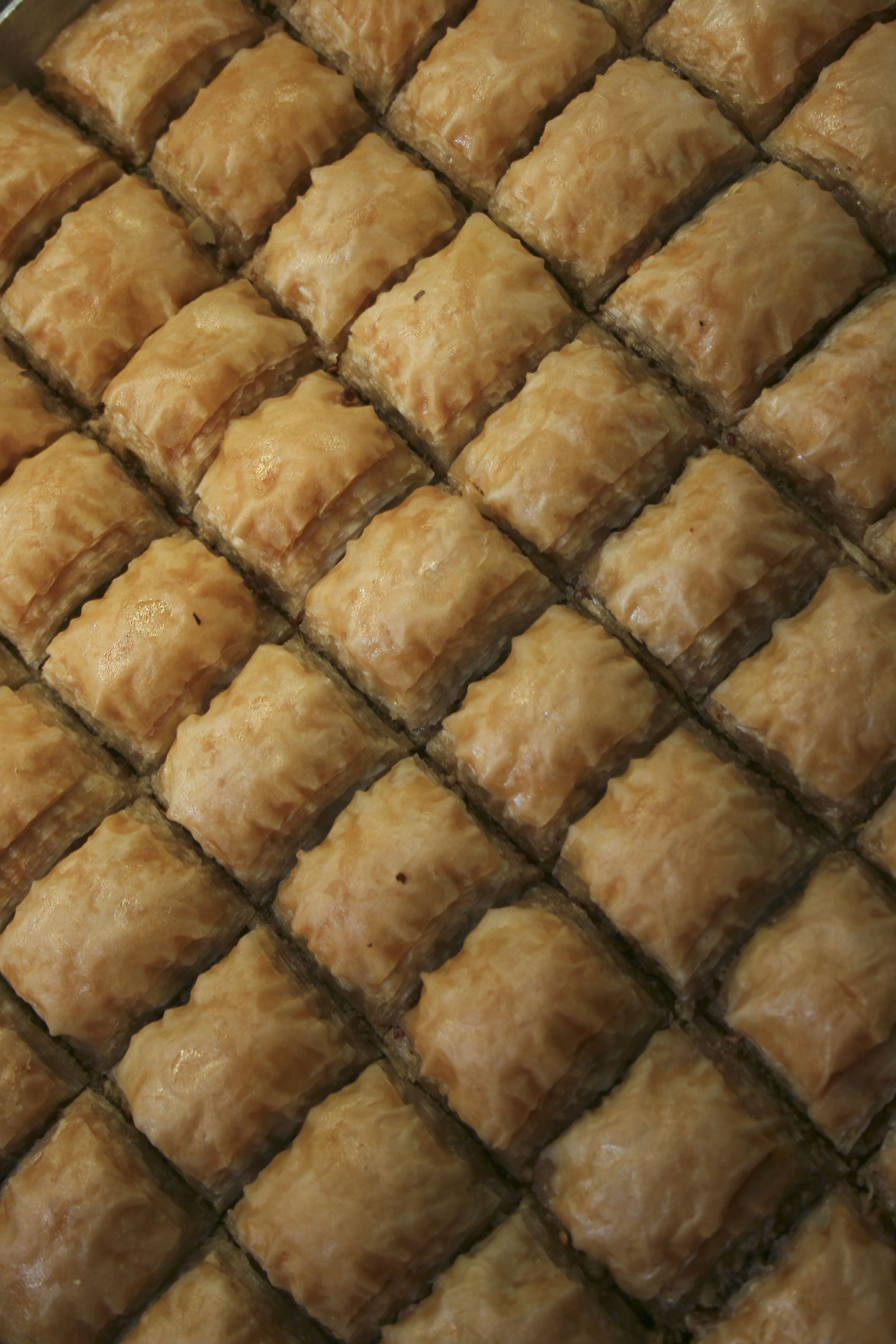 agah öncül
