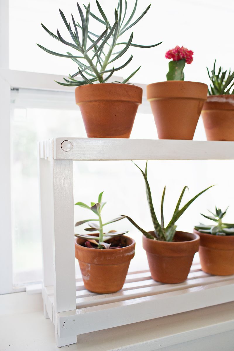 Indoor plants are a simple way to add a pop of color or boost your mood in any room. Window Ledge Plant Shelf A Beautiful Mess