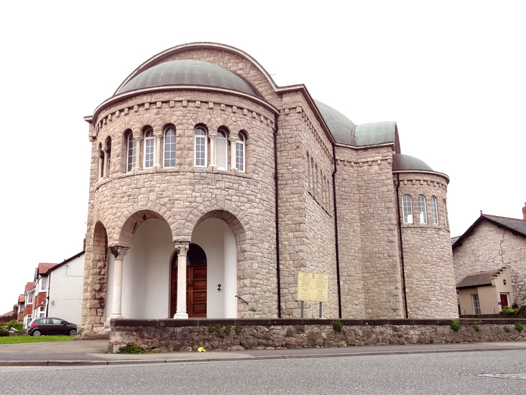 The Little Flower of Jesus