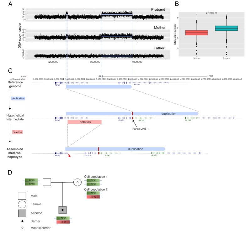 Bester Joseph Bester Github - City Wallpaper Collection - Full HD Quality