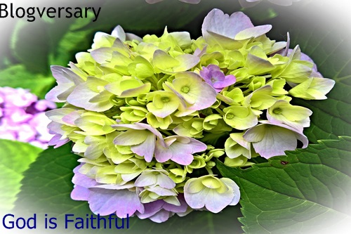 Blogversary