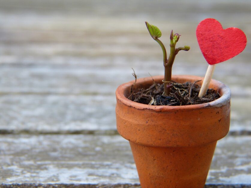 nourishing lovingly