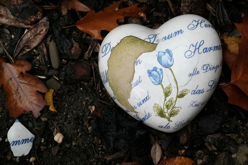 heart