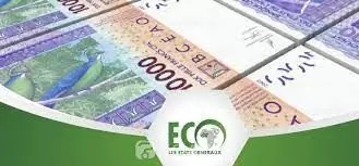 Togo : Les défis et états généraux de l'ECO se précisent sans Nathalie Yamb - KOACI