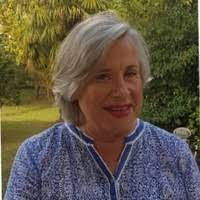 Anick Fougeroux - Avocat - Indépendant | LinkedIn