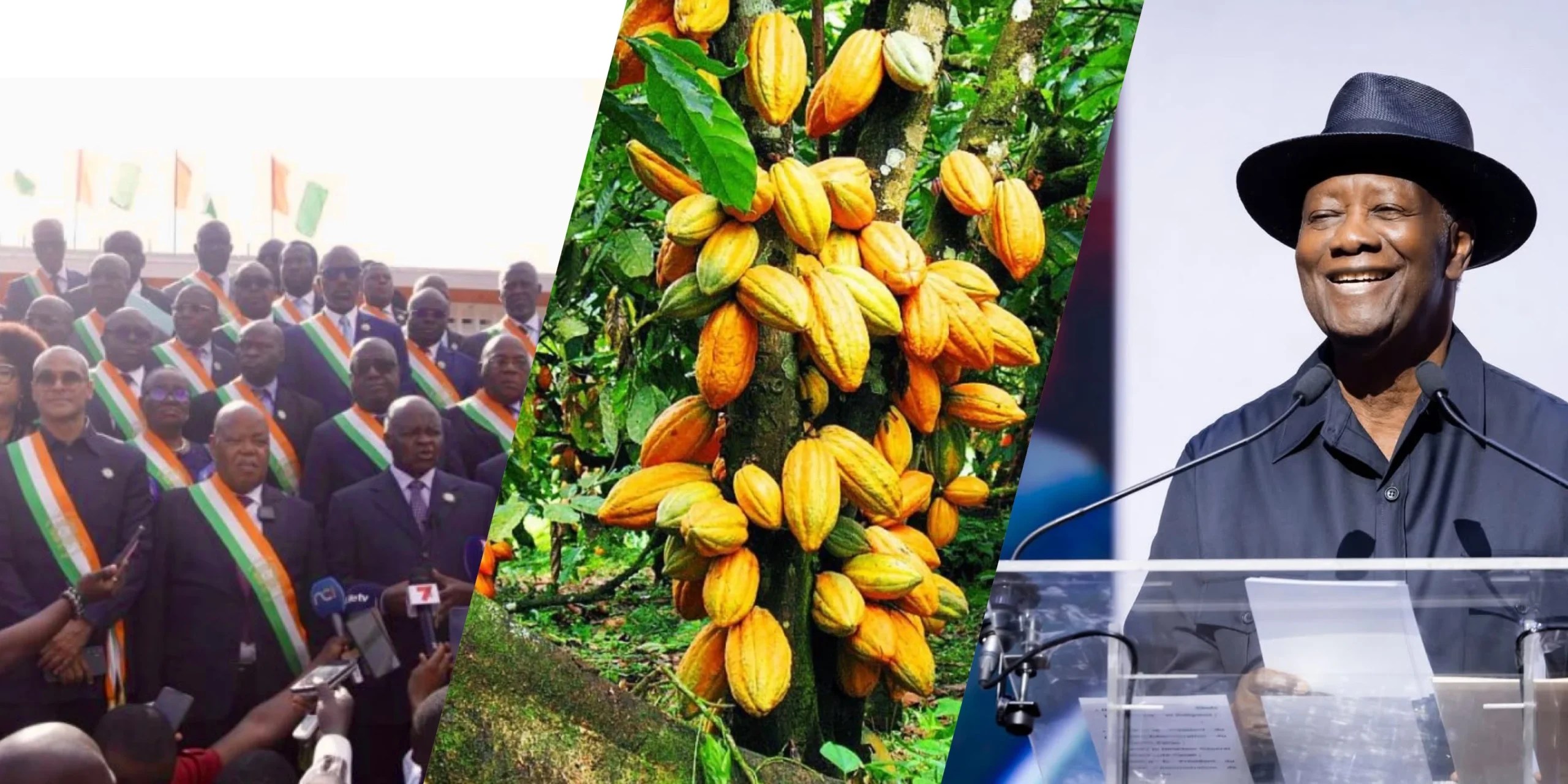 Côte d'Ivoire: Prix Record pour Café-Cacao et Crise à l'Assemblée après Boycott de l'Opposition