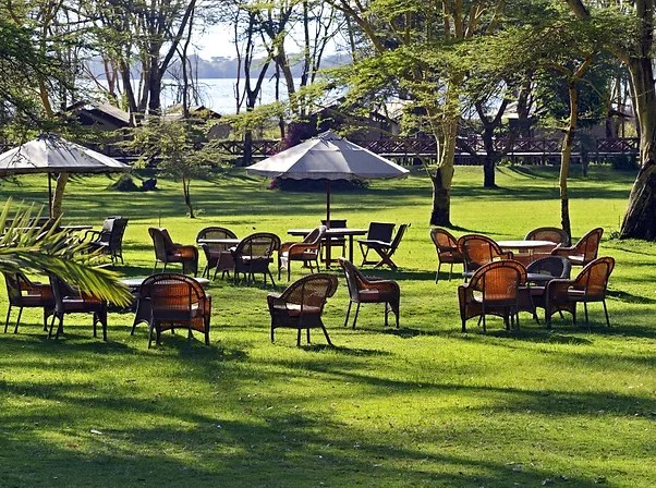 Discover Nakuru County Outdoor Sitting Area at Lake Naivasha. Image Courtesy of iStock