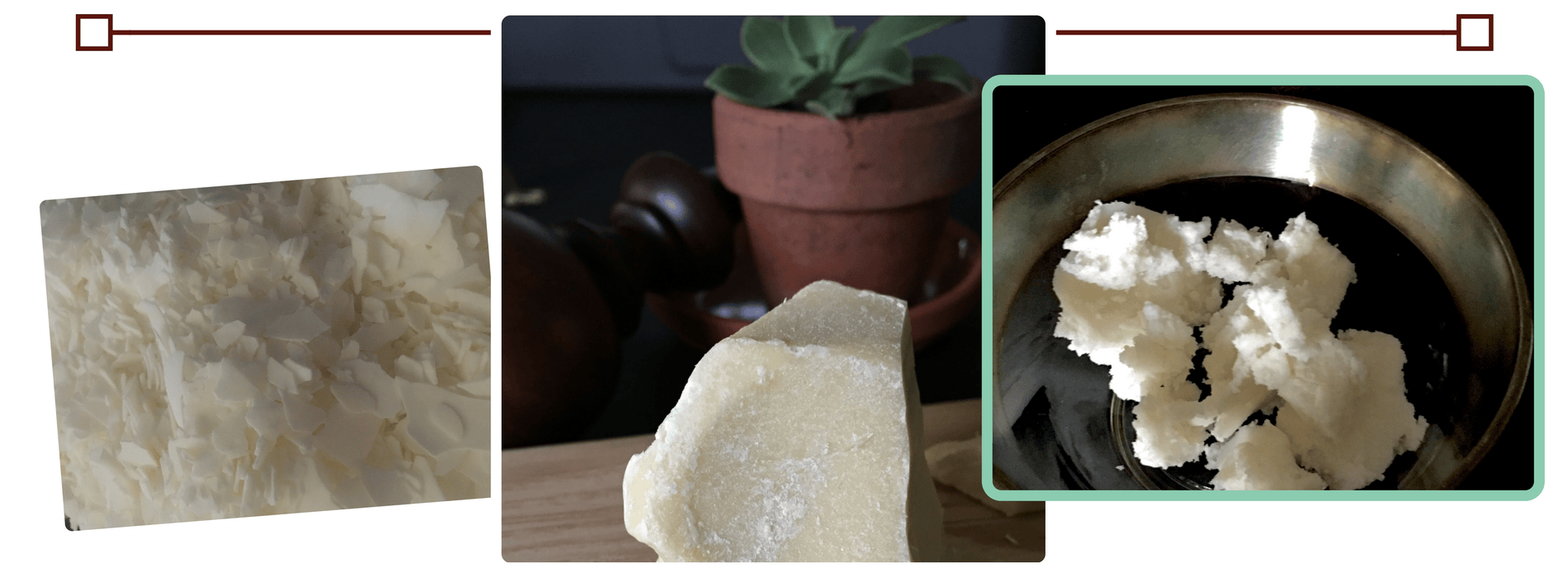 Our Ingredients