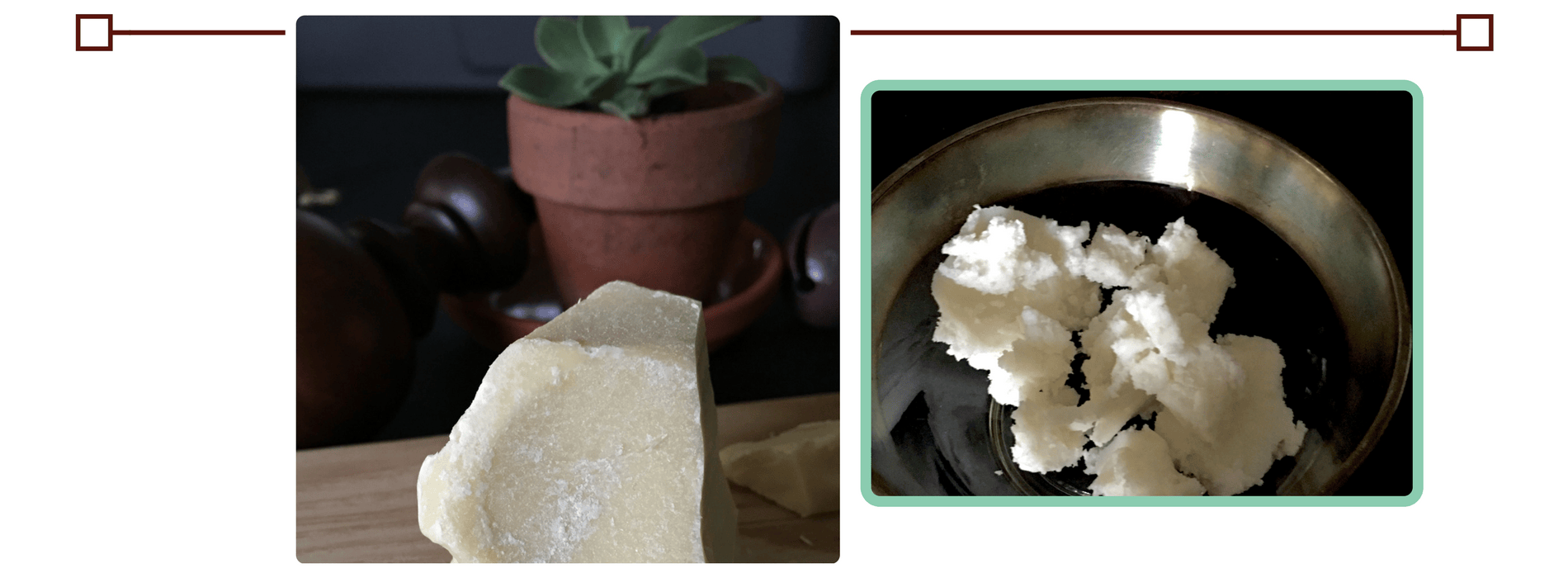 Our Ingredients
