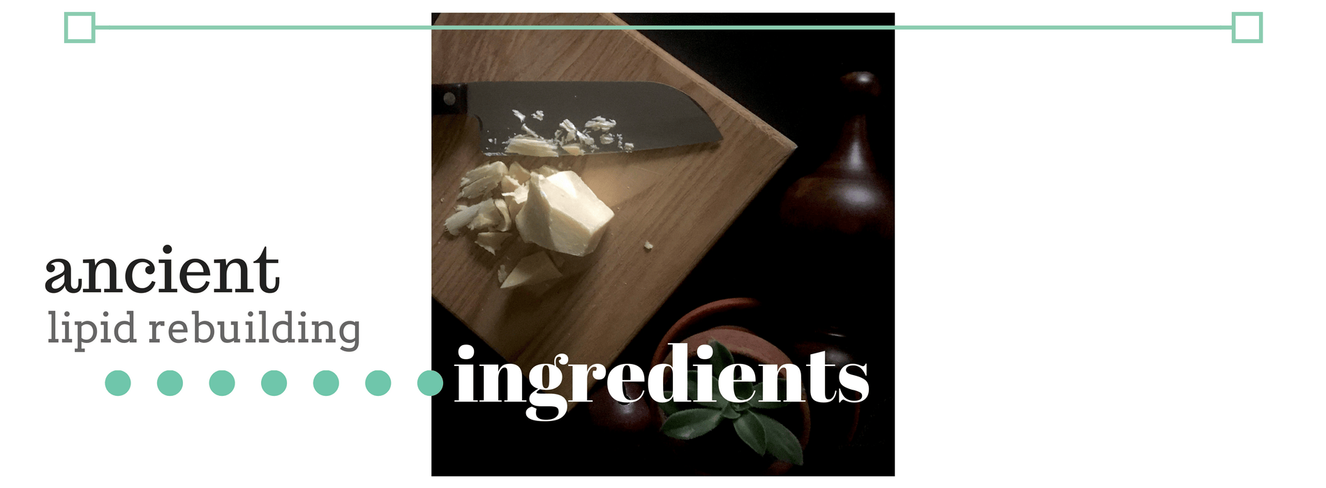 Our Ingredients