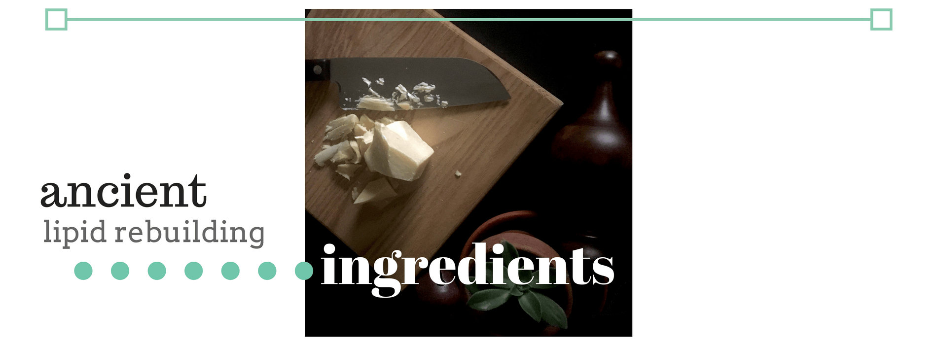 Our Ingredients