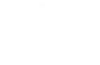 Abnesti Logo White