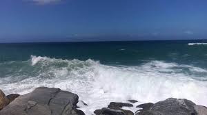 images (2)