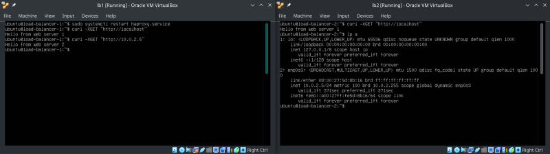 Github Fail0verflow Switch Linux Linux For The Switch - Download Premium Gradient Photo | Ultra HD