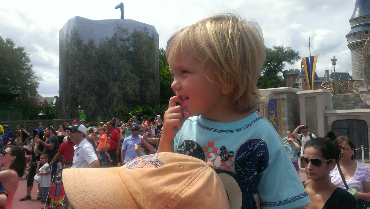 Watching the Festival of Fantasy Parade