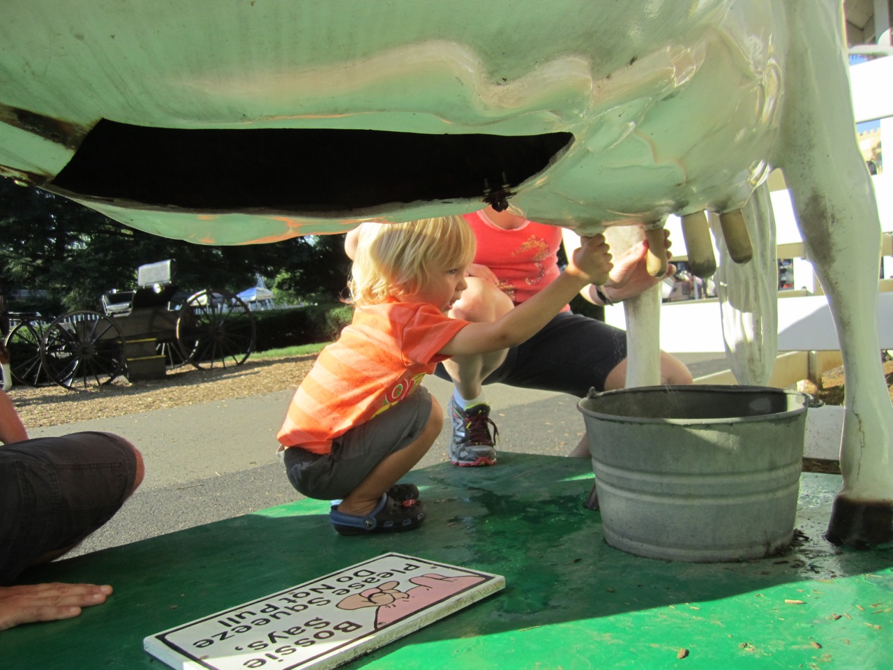 Milking the Dutch Wonderland cow