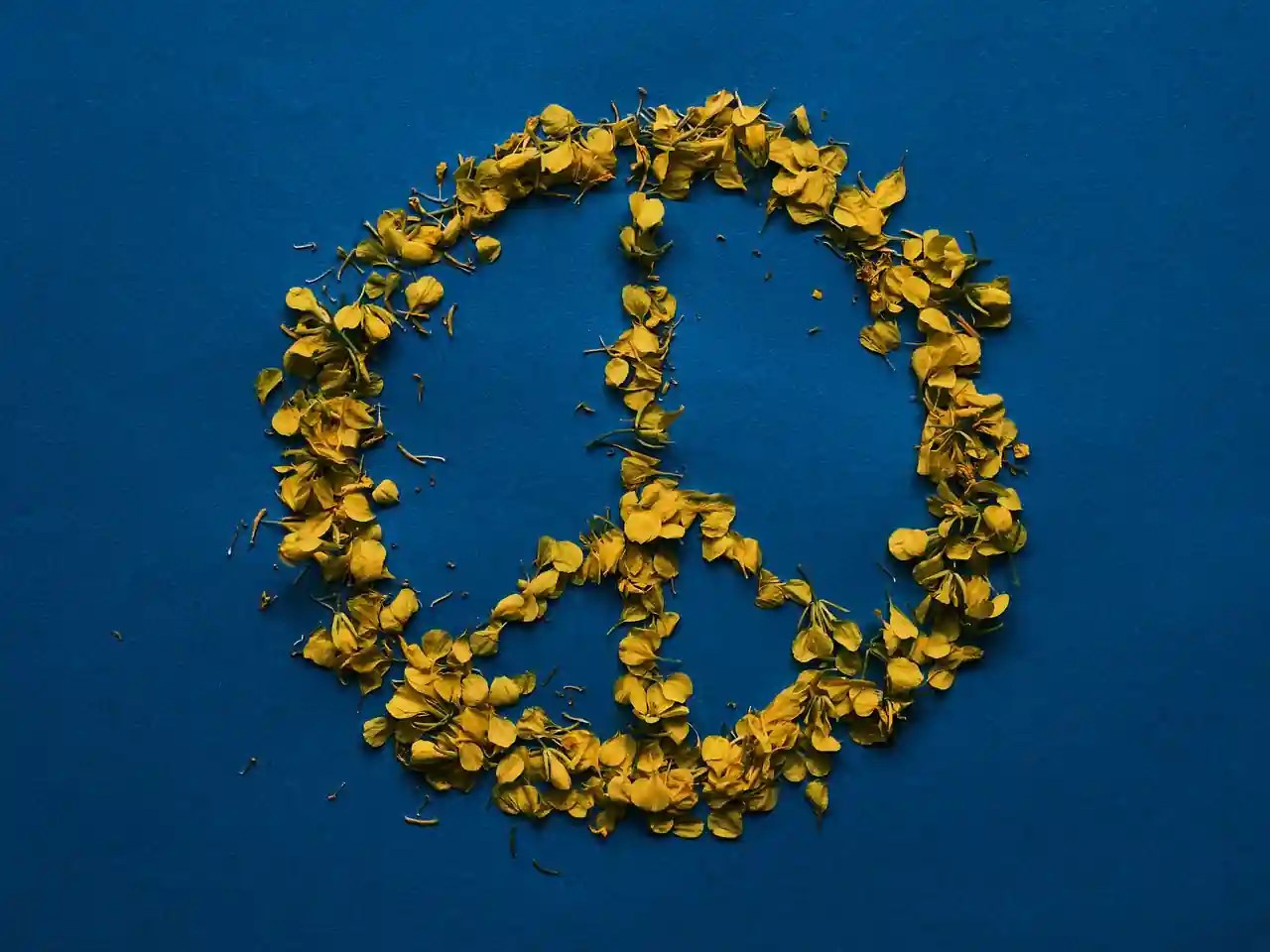 amnistía