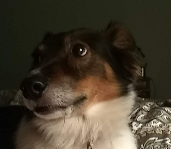 Marina Andrea Bourque Passage - Download Incredible Colorful Art | Full HD