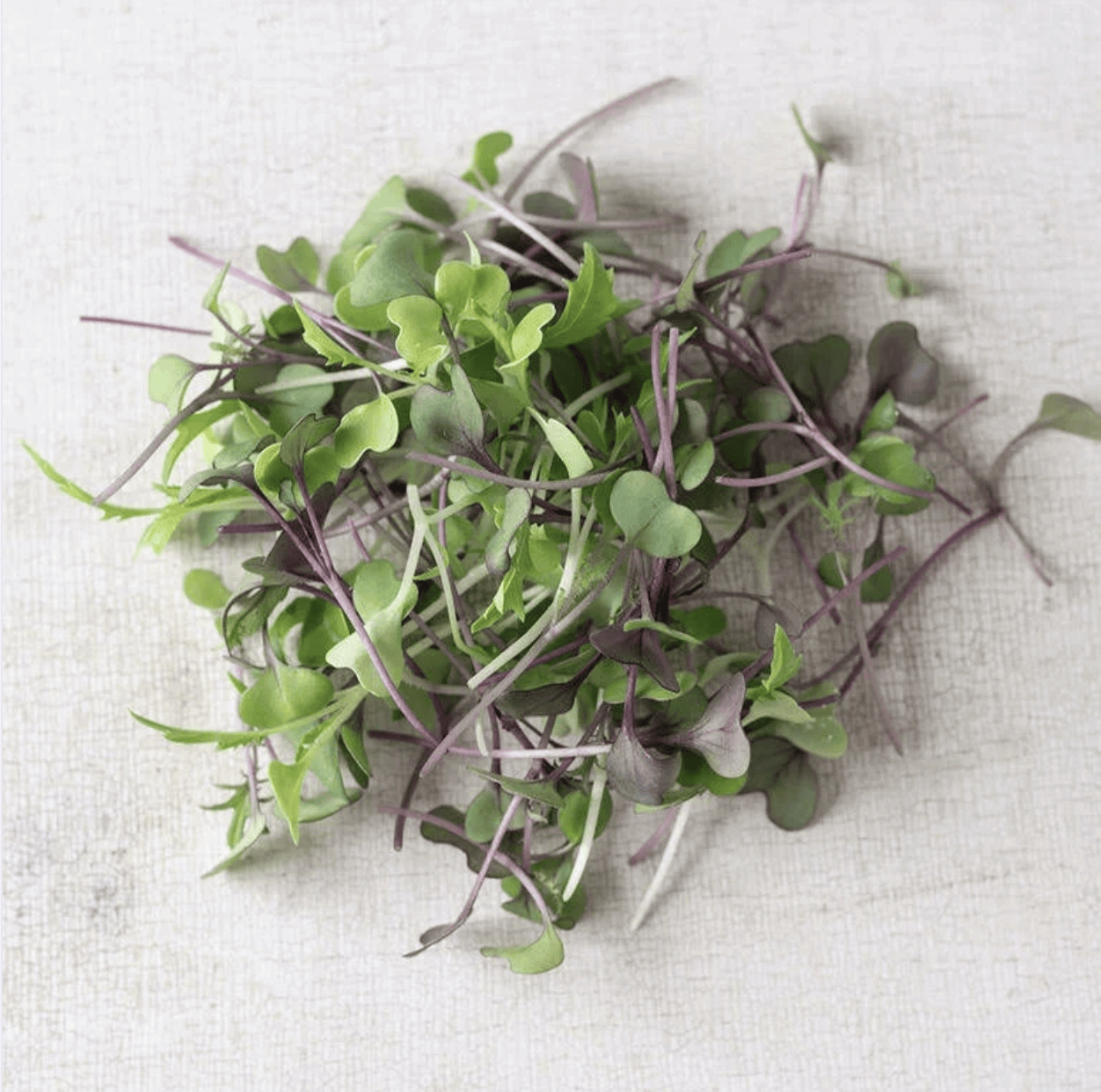 Microgreens, Basic Mix
