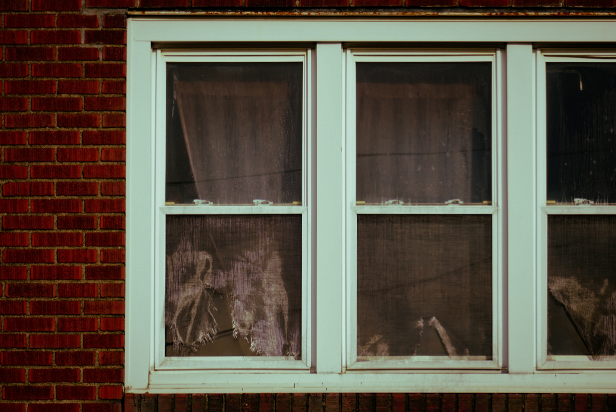 Windows 1