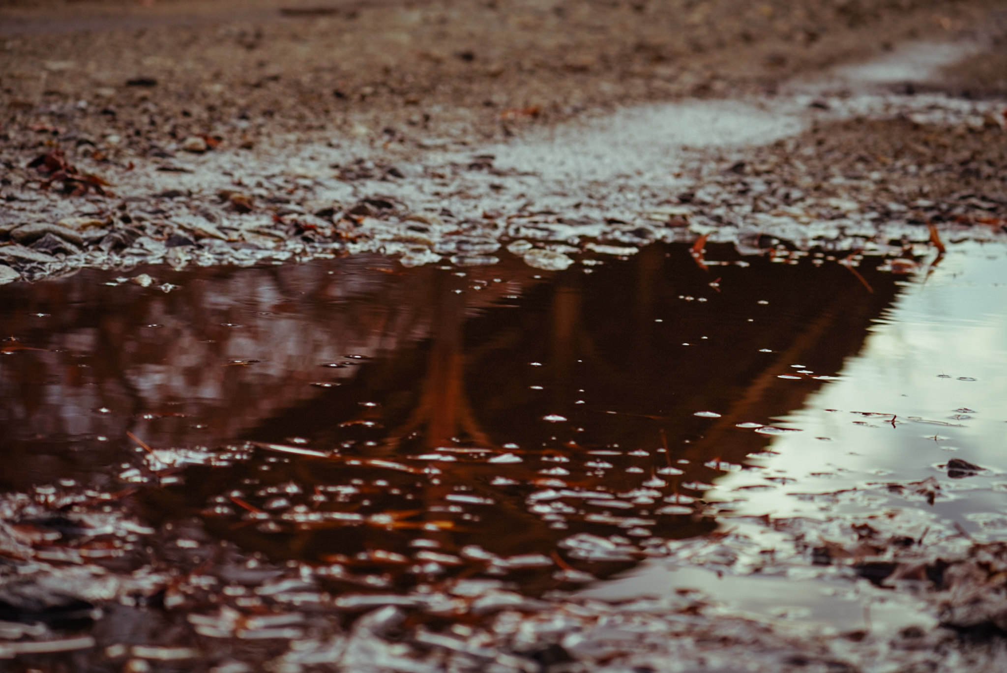 Train Station Puddle