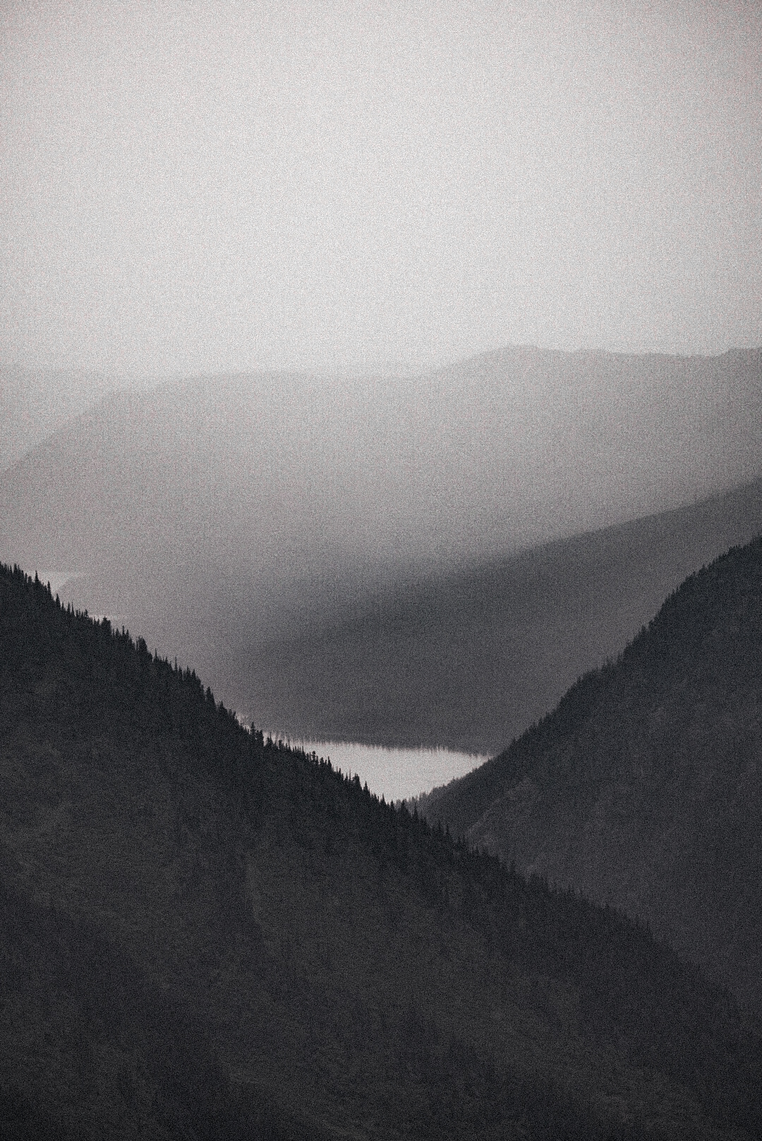 Gray Shadows