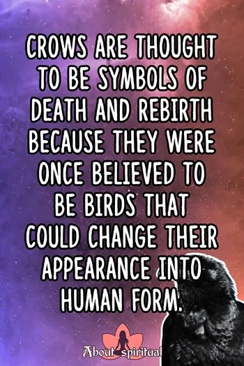 Number of crows meaning: 7 spiritual interpretations that will change your life