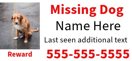 Lost Pet