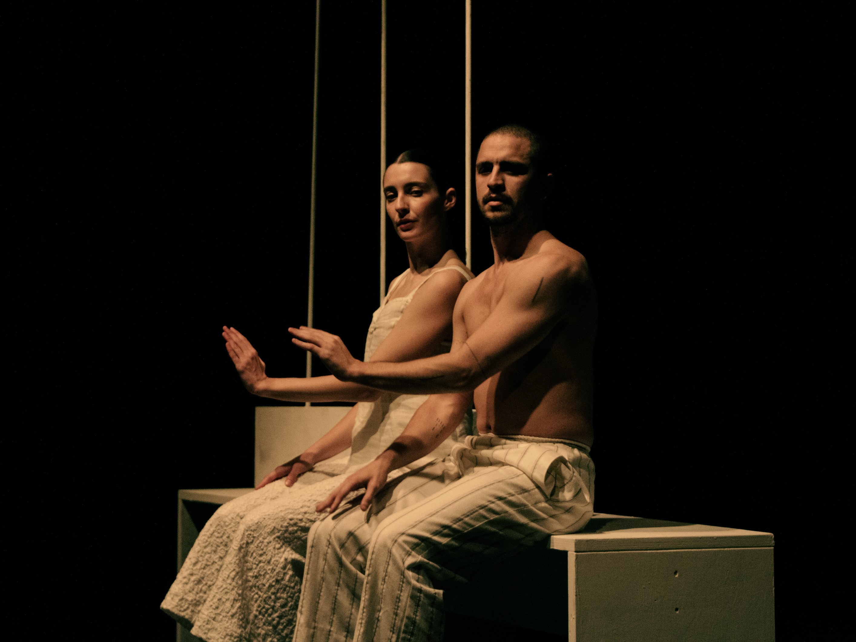 PRESS RELEASES: TEATRO IDRA BRESCIA // FIORI ASSENTI