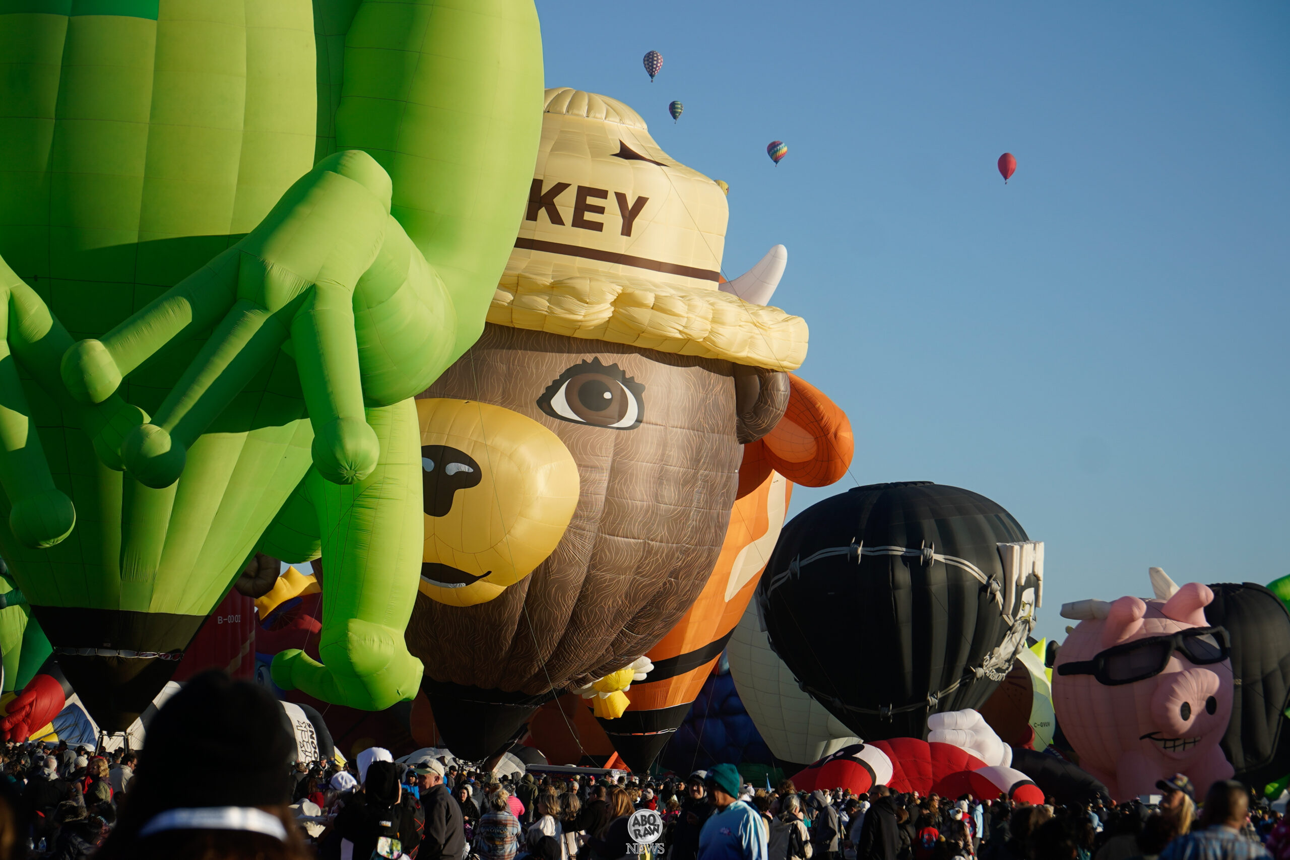 2024 Special Shapes Day at Balloon Fiesta: Wind Keeps Special