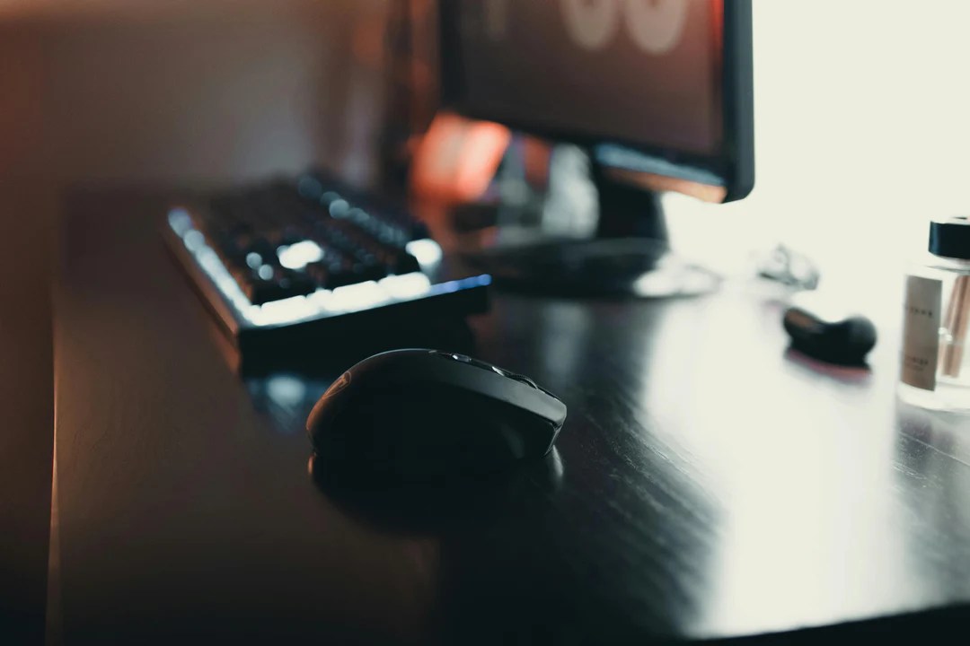 Basic DBS Check - Open to Any Individual or Employer