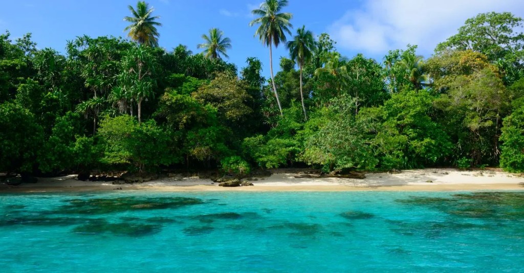 Papua New Guinea SIM Cards: Everything You Need To Know | 2023 Papua New Guinea SIM Cards: Everything You Need To Know | 2023