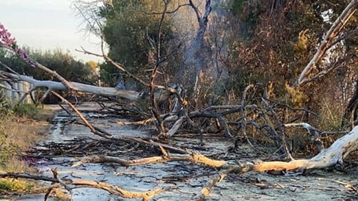 Incendio Ortona: Denunciato Agricoltore, Rogo Partito Da Falo' Di Residui Potature | Ultime Notizie Di Cronaca Abruzzo - Abruzzoweb 720_x_1280_jpg