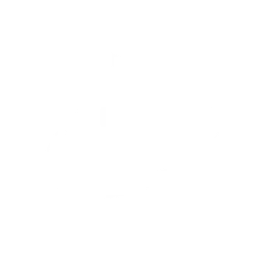 Absolute Efficiency Group