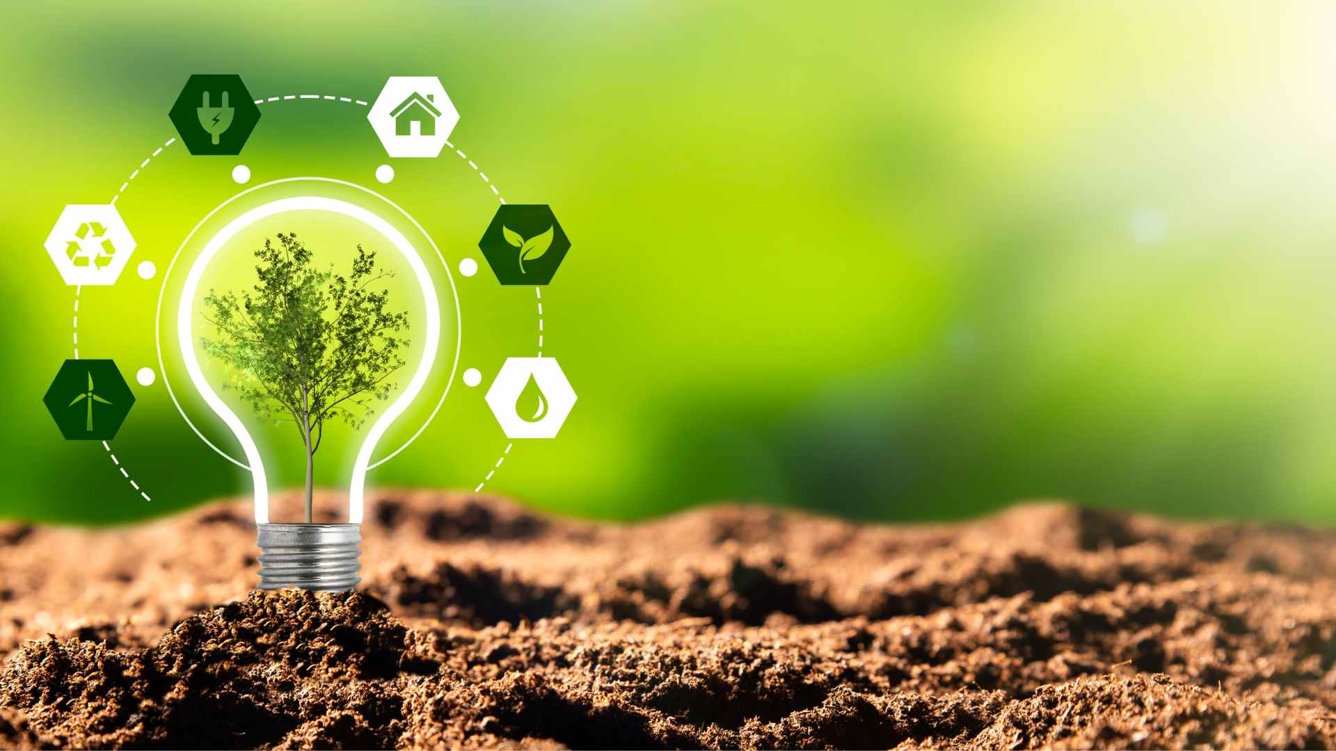 Sustainable model