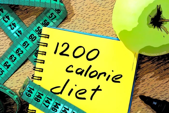 Read more about the article Is a 1200 Calorie Diet Appropriate For Anyone?
