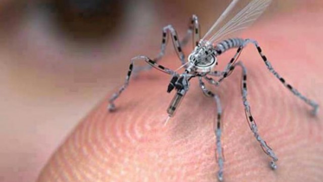 Insect Drones