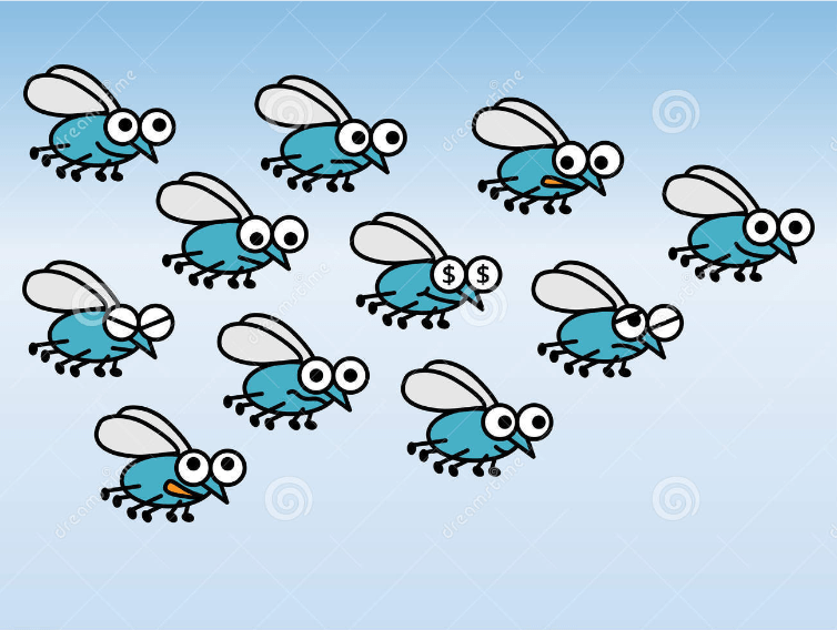 Get Rid Of Flies In Your House Source
