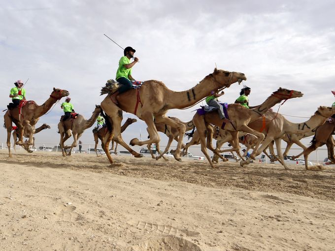 صور حول العالم