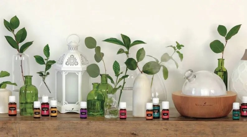 Get Up and Go Motivation Diffuser Blends
